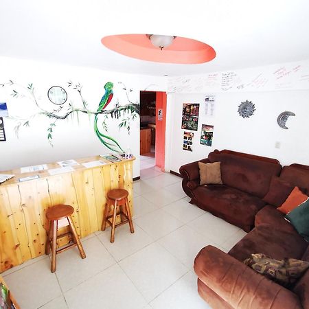 Mora'S Place B&B Monteverde Ngoại thất bức ảnh