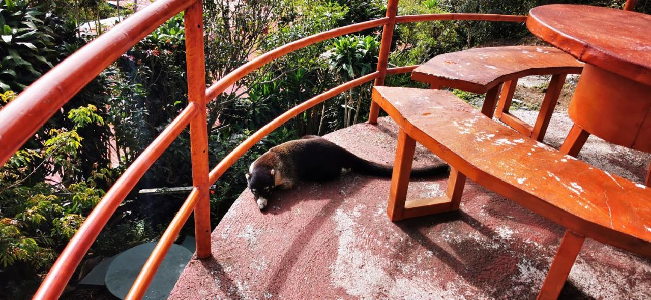 Mora'S Place B&B Monteverde Ngoại thất bức ảnh