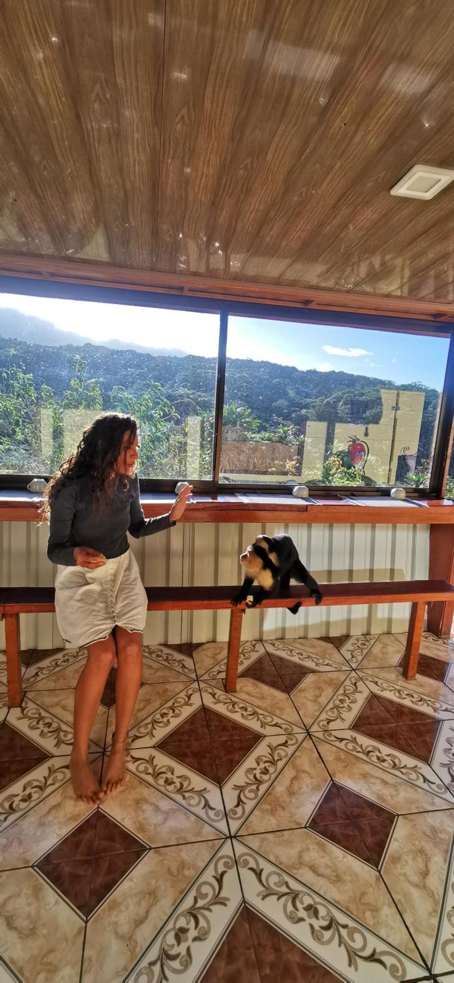Mora'S Place B&B Monteverde Ngoại thất bức ảnh