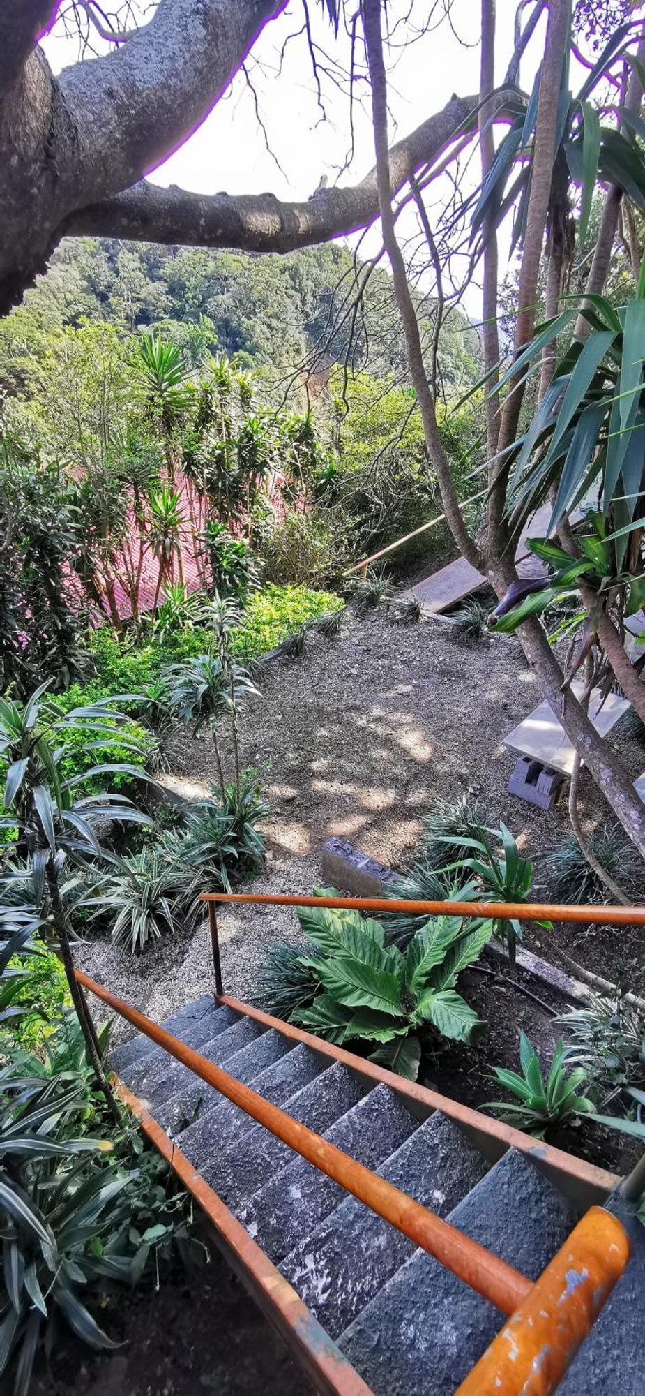 Mora'S Place B&B Monteverde Ngoại thất bức ảnh