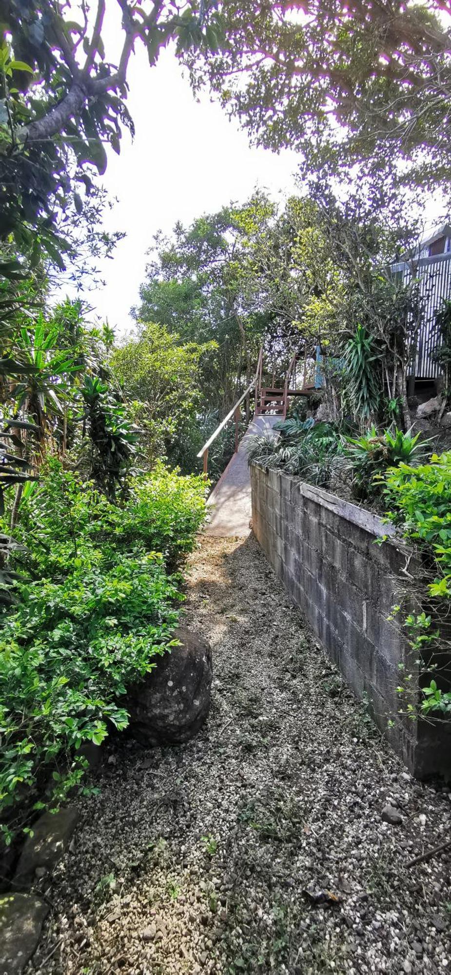 Mora'S Place B&B Monteverde Ngoại thất bức ảnh