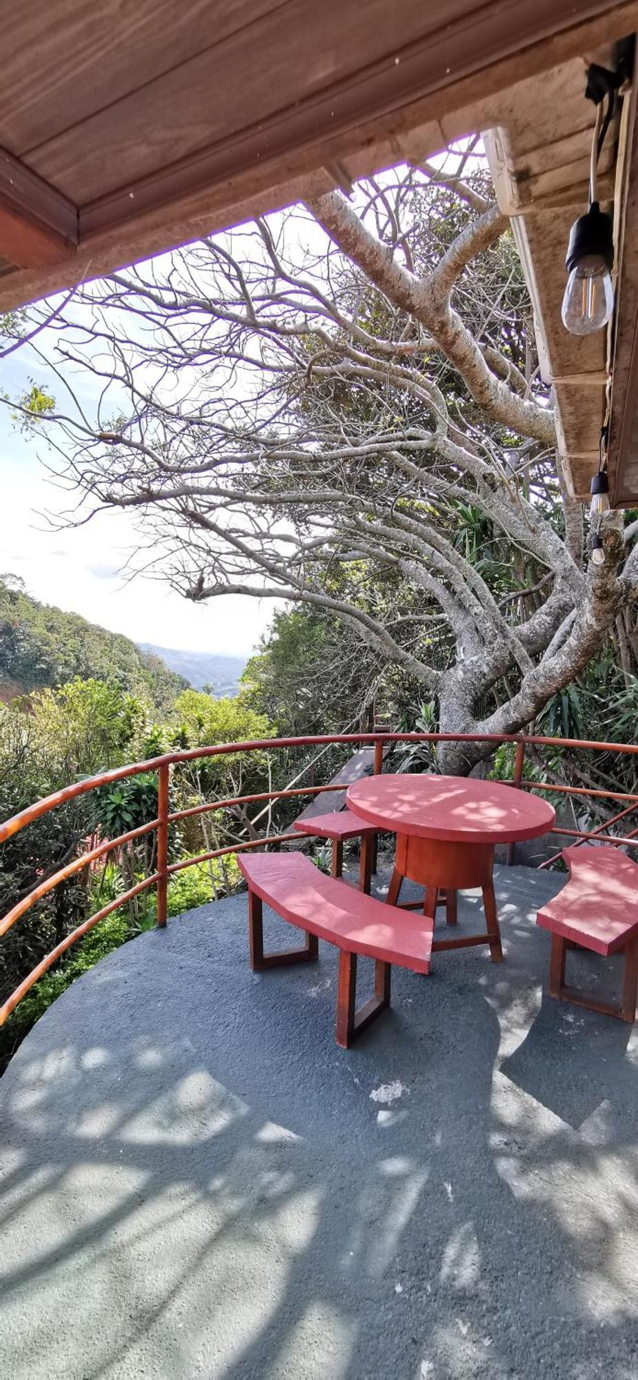 Mora'S Place B&B Monteverde Ngoại thất bức ảnh