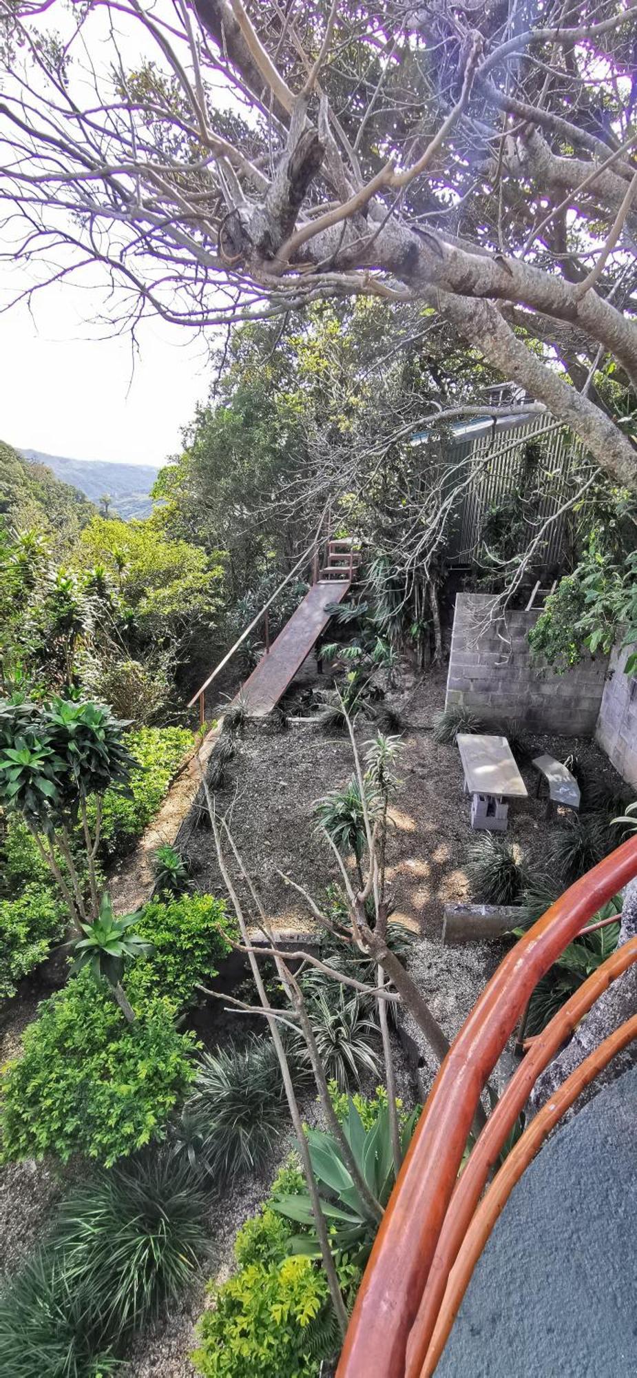 Mora'S Place B&B Monteverde Ngoại thất bức ảnh