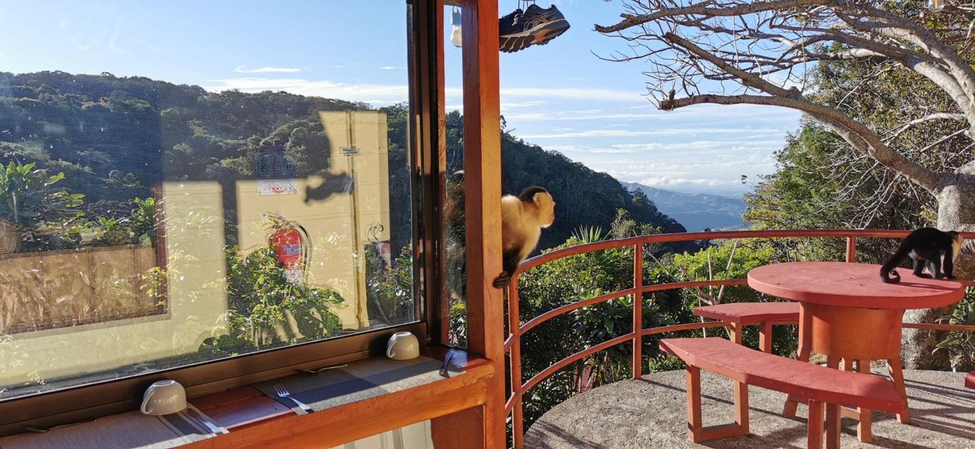Mora'S Place B&B Monteverde Ngoại thất bức ảnh