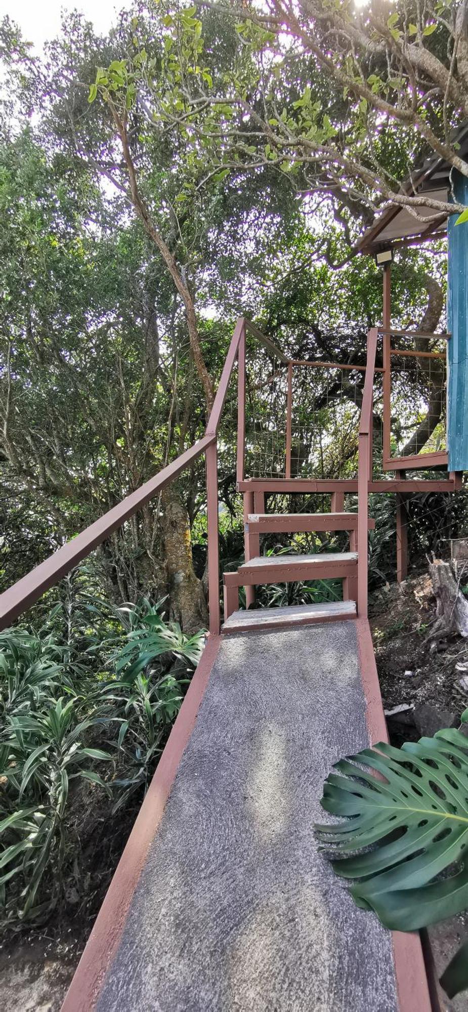 Mora'S Place B&B Monteverde Ngoại thất bức ảnh