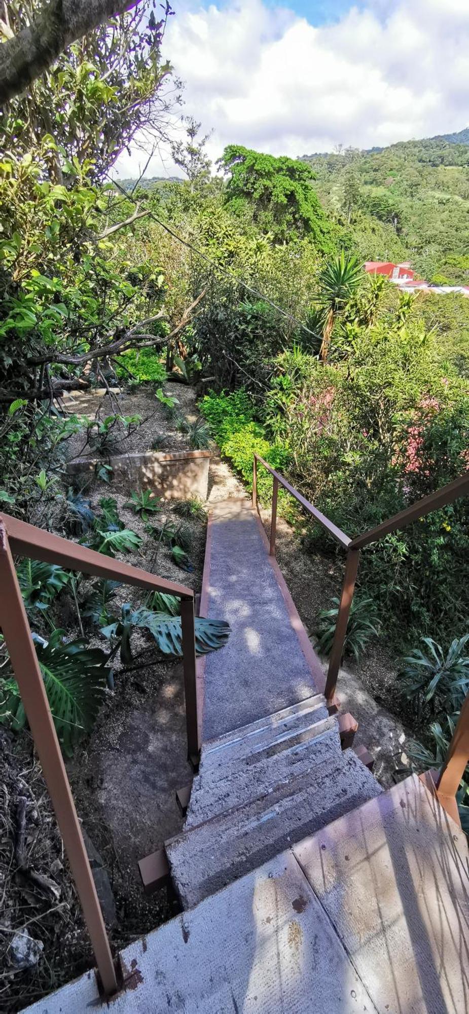 Mora'S Place B&B Monteverde Ngoại thất bức ảnh