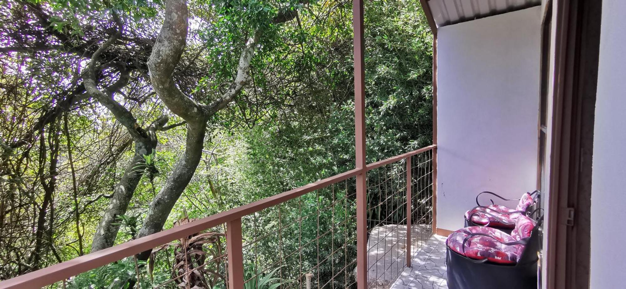 Mora'S Place B&B Monteverde Ngoại thất bức ảnh