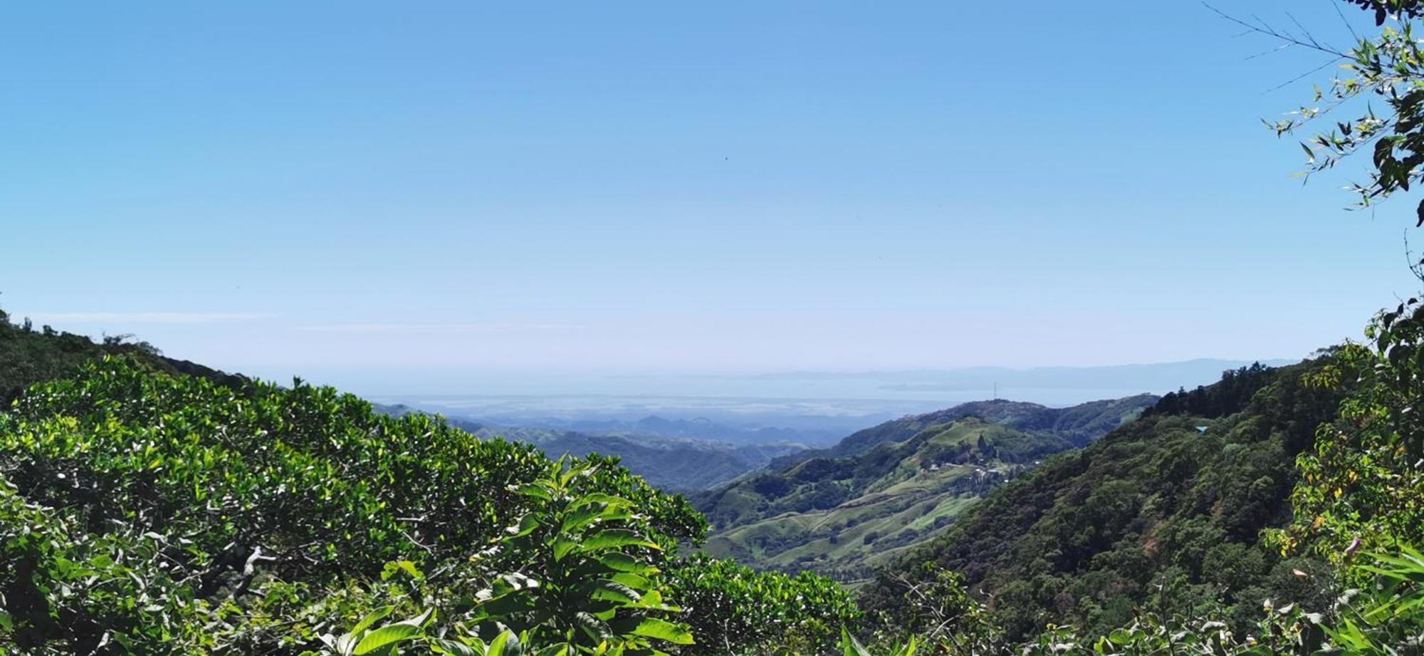 Mora'S Place B&B Monteverde Ngoại thất bức ảnh