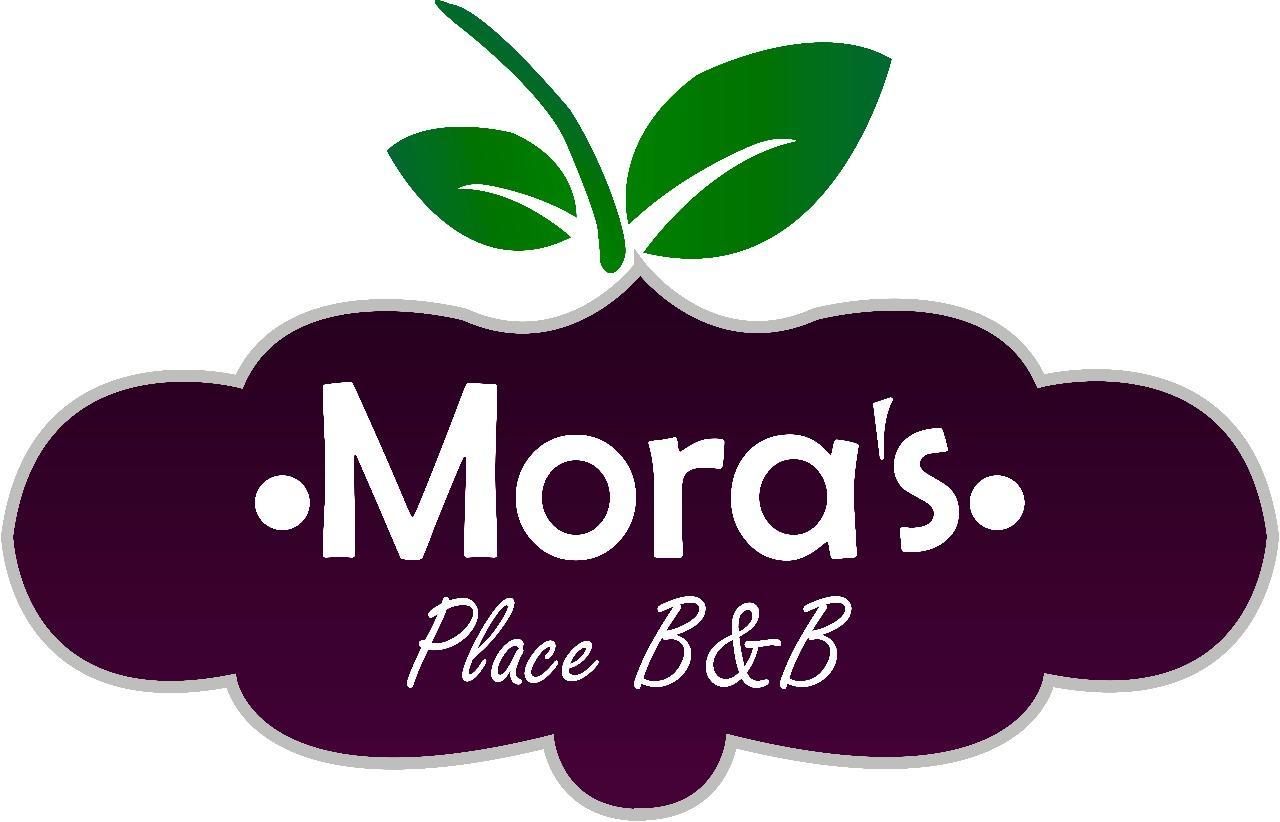 Mora'S Place B&B Monteverde Ngoại thất bức ảnh