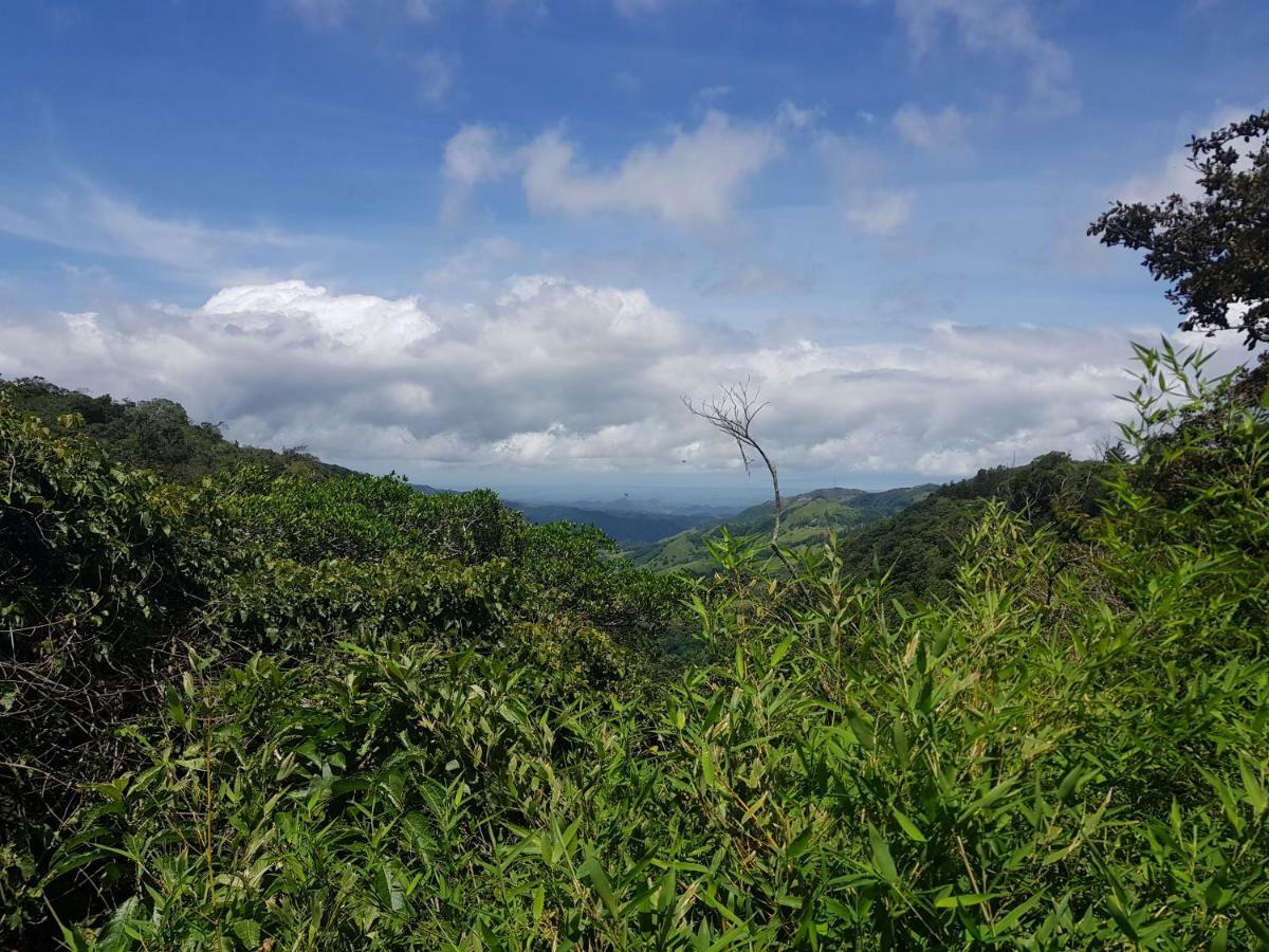 Mora'S Place B&B Monteverde Ngoại thất bức ảnh